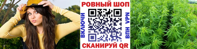 Магазин наркотиков Шенкурск ГАШИШ  КОКАИН  А ПВП  Псилоцибиновые грибы  Меф мяу мяу  Канабис 