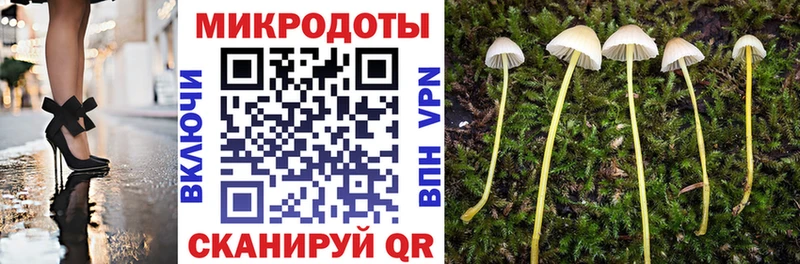 Галлюциногенные грибы GOLDEN TEACHER  hydra маркетплейс  Шенкурск  цены  